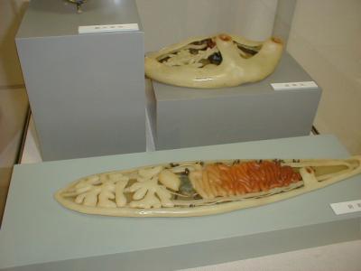 $BA%@9$j!J0c!J(B400x300 / 10,541 bytes$B!K(B