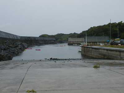 $BN.$5$l$?%+%d%C%/(B