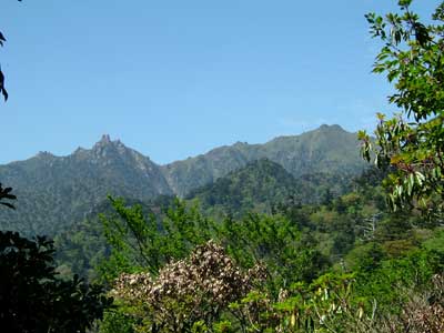 $B?y$N9g4V$+$i$N7J?'(B