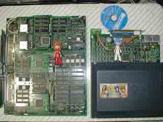 VS$B?};N%V%i%s%K%e!<%9%?!<%:Hf3S<L??(B